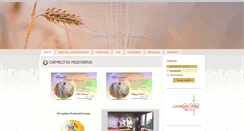 Desktop Screenshot of carmelitasmisioneras.org
